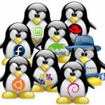 Linux: Read-only partition (Solving)
