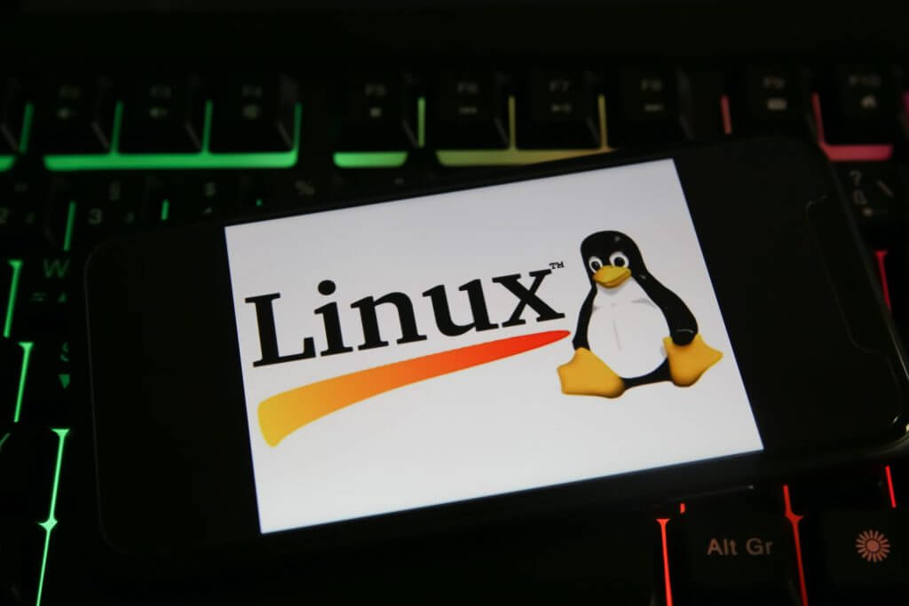 Comandos básicos do Linux, e o terminal de comandos.