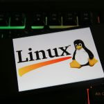 Comandos básicos do Linux, e o terminal de comandos.