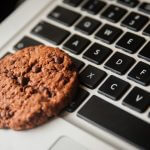 Cookies, to Accept or Not to Accept? – understand how this tool helps your web experience.