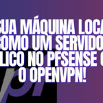 Transformando Sua Máquina Local em um Servidor Público com OpenVPN no pfSense